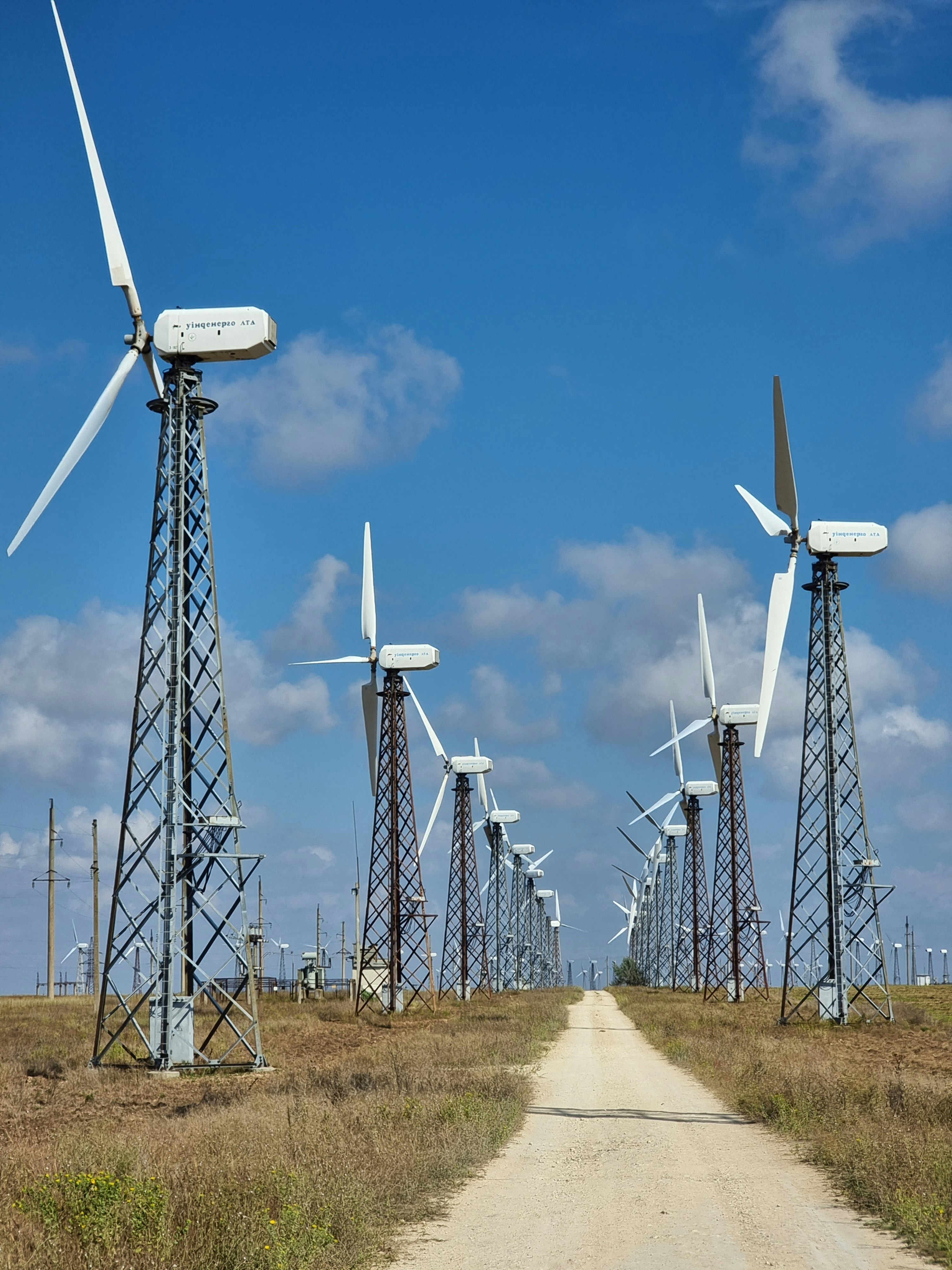 Carbon accounting consultation